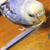 Profile picture small