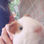 Profile picture small