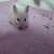 Profile picture small