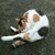 Profile picture small