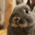 Profile picture small