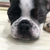 Profile picture small