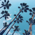 Profile picture small