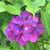Profile picture small