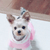 Profile picture small