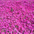 Profile picture small