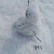 Profile picture small