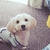 Profile picture small