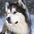 Profile picture small