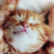 Profile picture small