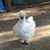 Profile picture small