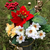 Profile picture small