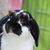 Profile picture small