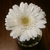 Profile picture small