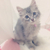 Profile picture small