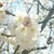 Profile picture small