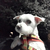 Profile picture small