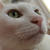 Profile picture small