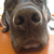 Profile picture small