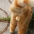 Profile picture small