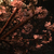Profile picture small