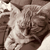 Profile picture small