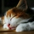 Profile picture small