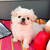 Profile picture small