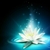 Profile picture small