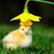 Profile picture small