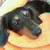 Profile picture small