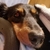 Profile picture small