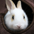 Profile picture small