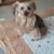 Profile picture small