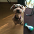 Profile picture small