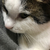 Profile picture small