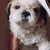 Profile picture small