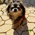 Profile picture small