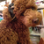 Profile picture small