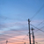 Profile picture small