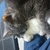 Profile picture small