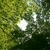 Profile picture small