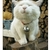 Profile picture small