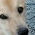 Profile picture small