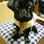 Profile picture small