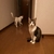 あーや