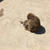 Profile picture small