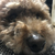 Profile picture small