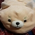ある