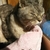 Profile picture small